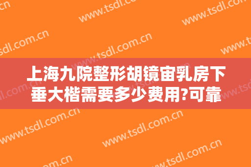 上海九院整形胡镜宙乳房下垂大楷需要多少费用?可靠吗?