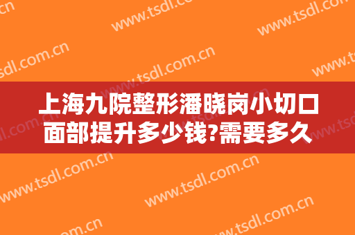 上海九院整形潘晓岗小切口面部提升多少钱?需要多久恢复?