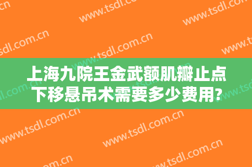 上海九院王金武额肌瓣止点下移悬吊术需要多少费用?效果怎么样?