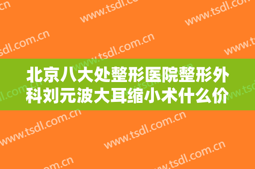 北京八大处整形医院整形外科刘元波大耳缩小术什么价格?靠谱吗?