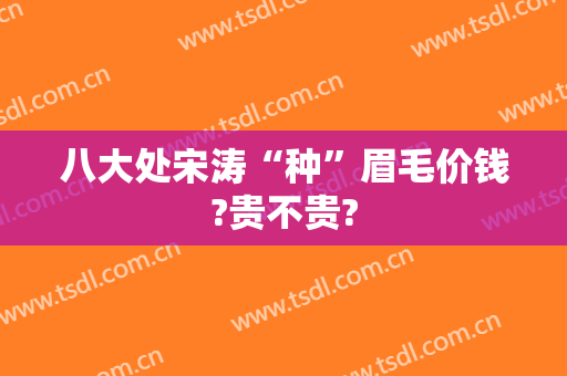 八大处宋涛“种”眉毛价钱?贵不贵?