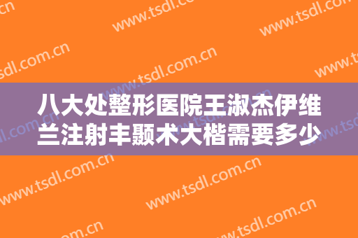 八大处整形医院王淑杰伊维兰注射丰颞术大楷需要多少费用?贵不贵?