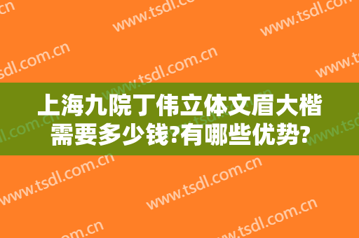 上海九院丁伟立体文眉大楷需要多少钱?有哪些优势?