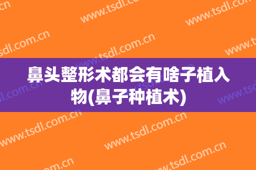 鼻头整形术都会有啥子植入物(鼻子种植术)