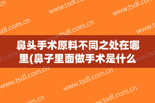 鼻头手术原料不同之处在哪里(鼻子里面做手术是什么样子的)