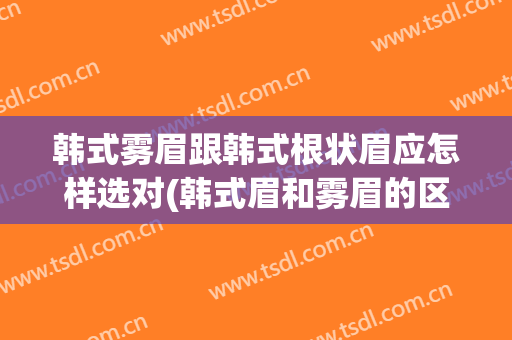 韩式雾眉跟韩式根状眉应怎样选对(韩式眉和雾眉的区别)