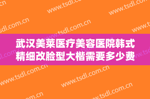 武汉美莱医疗美容医院韩式精细改脸型大楷需要多少费用?靠谱吗?(美莱整形医院武汉)