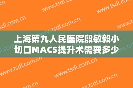 上海第九人民医院殷敏毅小切口MACS提升术需要多少费用?贵不贵?