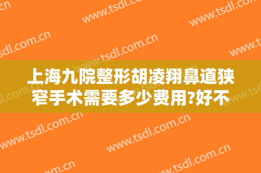上海九院整形胡凌翔鼻道狭窄手术需要多少费用?好不好?