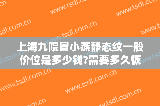 上海九院冒小燕静态纹一般价位是多少钱?需要多久恢复?