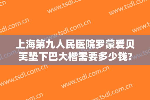 上海第九人民医院罗蒙爱贝芙垫下巴大楷需要多少钱?好不好?