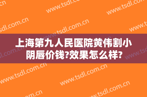 上海第九人民医院黄伟割小阴唇价钱?效果怎么样?