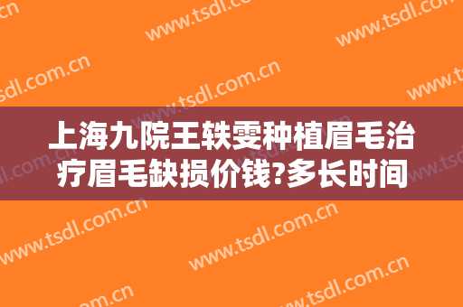 上海九院王轶雯种植眉毛治疗眉毛缺损价钱?多长时间恢复?