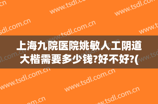 上海九院医院姚敏人工阴道大楷需要多少钱?好不好?(上海第九人民医院姚敏怎么样)
