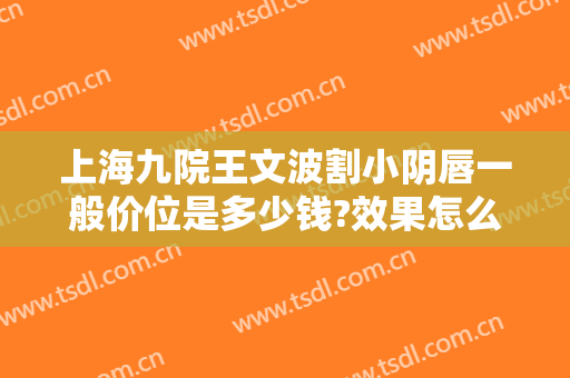 上海九院王文波割小阴唇一般价位是多少钱?效果怎么样?