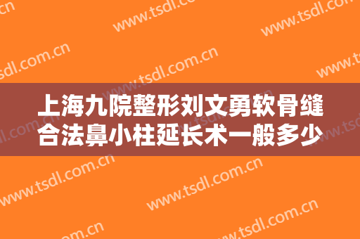 上海九院整形刘文勇软骨缝合法鼻小柱延长术一般多少费用?贵不贵?