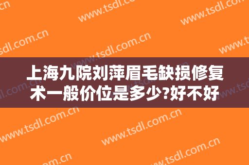 上海九院刘萍眉毛缺损修复术一般价位是多少?好不好?