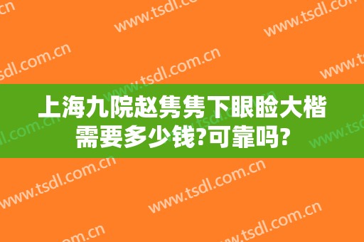 上海九院赵隽隽下眼睑大楷需要多少钱?可靠吗?