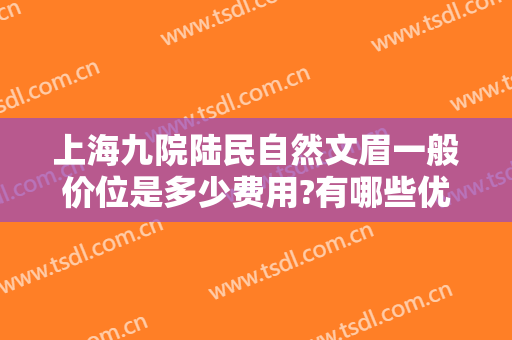 上海九院陆民自然文眉一般价位是多少费用?有哪些优势?