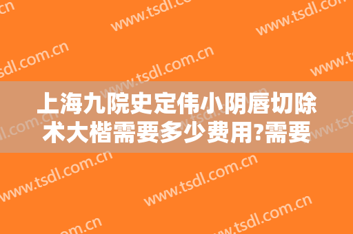 上海九院史定伟小阴唇切除术大楷需要多少费用?需要多久恢复?