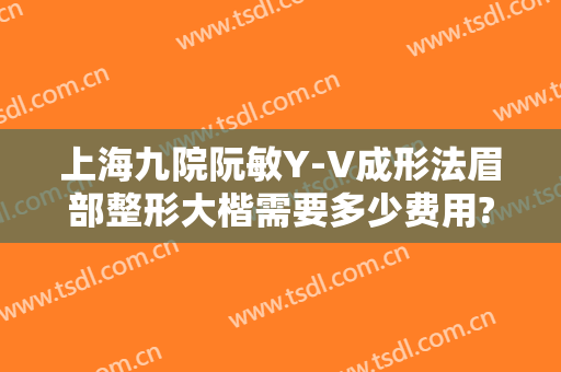 上海九院阮敏Y-V成形法眉部整形大楷需要多少费用?多长时间恢复?