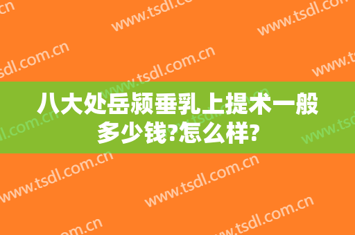八大处岳颍垂乳上提术一般多少钱?怎么样?