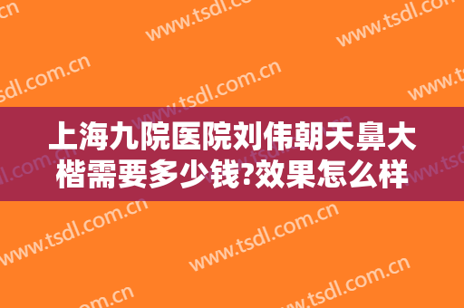 上海九院医院刘伟朝天鼻大楷需要多少钱?效果怎么样?