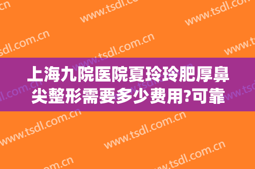 上海九院医院夏玲玲肥厚鼻尖整形需要多少费用?可靠吗?(上海九院鼻梁整形费用)