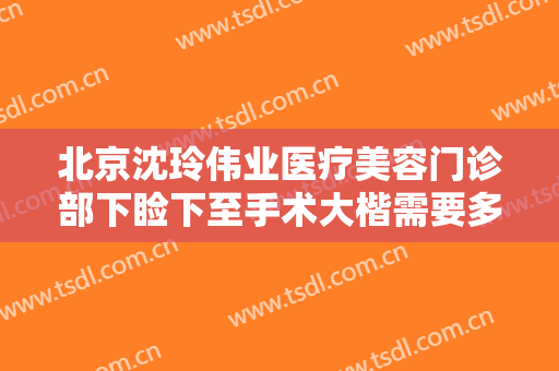 北京沈玲伟业医疗美容门诊部下睑下至手术大楷需要多少钱?靠谱吗?