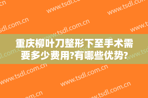 重庆柳叶刀整形下至手术需要多少费用?有哪些优势?