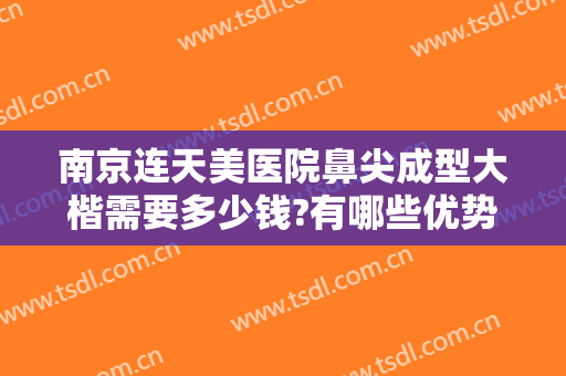 南京连天美医院鼻尖成型大楷需要多少钱?有哪些优势?