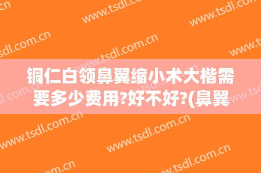 铜仁白领鼻翼缩小术大楷需要多少费用?好不好?(鼻翼缩小手术贵吗)