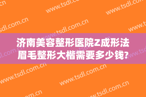 济南美容整形医院Z成形法眉毛整形大楷需要多少钱?好不好?(济南的美容整形医院)