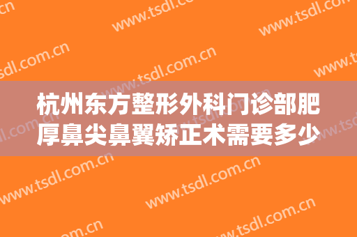 杭州东方整形外科门诊部肥厚鼻尖鼻翼矫正术需要多少钱?怎么样?(杭州东方美容整形医院)