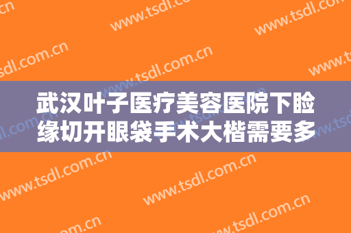 武汉叶子医疗美容医院下睑缘切开眼袋手术大楷需要多少钱?需要多久恢复?