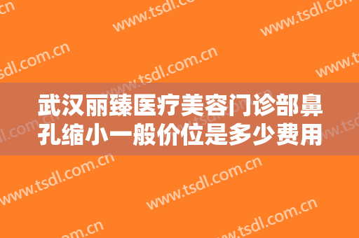 武汉丽臻医疗美容门诊部鼻孔缩小一般价位是多少费用?贵不贵?