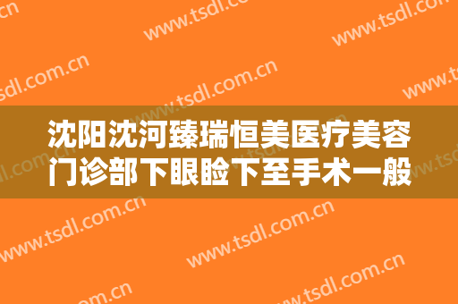 沈阳沈河臻瑞恒美医疗美容门诊部下眼睑下至手术一般多少费用?贵不贵?