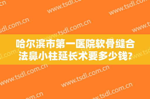 哈尔滨市第一医院软骨缝合法鼻小柱延长术要多少钱?贵不贵?