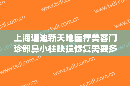 上海诺迪新天地医疗美容门诊部鼻小柱缺损修复需要多少费用?贵不贵?