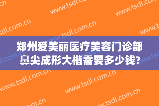 郑州爱美丽医疗美容门诊部鼻尖成形大楷需要多少钱?效果怎么样?(郑州美艺整形医院)