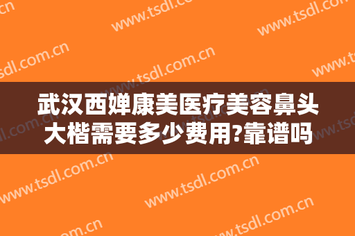 武汉西婵康美医疗美容鼻头大楷需要多少费用?靠谱吗?