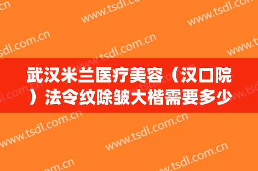 武汉米兰医疗美容（汉口院）法令纹除皱大楷需要多少钱?好不好?(武汉米兰整形美容院怎么样)
