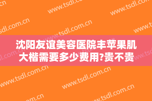 沈阳友谊美容医院丰苹果肌大楷需要多少费用?贵不贵?