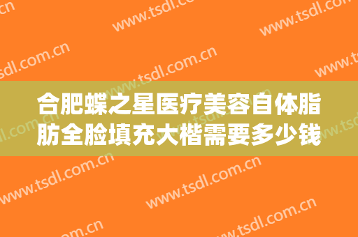 合肥蝶之星医疗美容自体脂肪全脸填充大楷需要多少钱?靠谱吗?(合肥蝶之星整形怎么样)