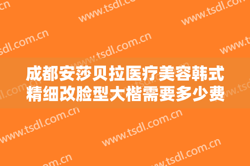 成都安莎贝拉医疗美容韩式精细改脸型大楷需要多少费用?有哪些优势?