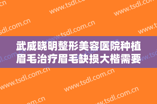武威晓明整形美容医院种植眉毛治疗眉毛缺损大楷需要多少费用?怎么样?