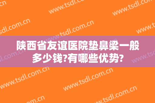 陕西省友谊医院垫鼻梁一般多少钱?有哪些优势?