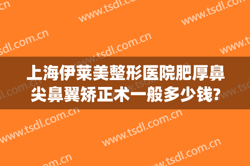 上海伊莱美整形医院肥厚鼻尖鼻翼矫正术一般多少钱?多长时间恢复?(上海伊莱美隆鼻)