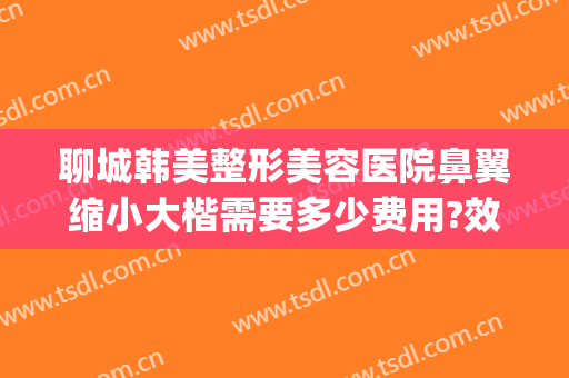 聊城韩美整形美容医院鼻翼缩小大楷需要多少费用?效果怎么样?(整形医院缩小鼻翼需要多少钱)