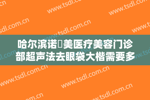 哈尔滨诺嬄美医疗美容门诊部超声法去眼袋大楷需要多少钱?可靠吗?